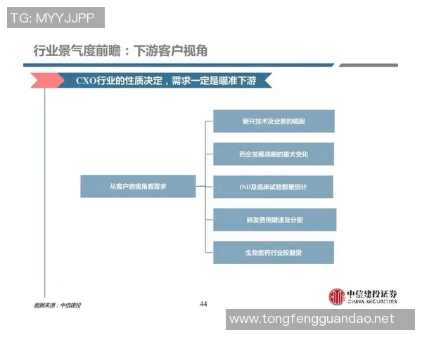 围绕足球运动员选择球星标准与影响球队战术发展的深度探讨