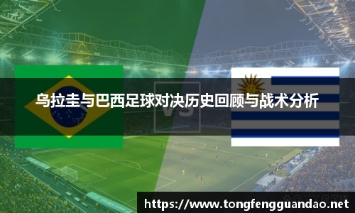 365(vip)英国上市官网