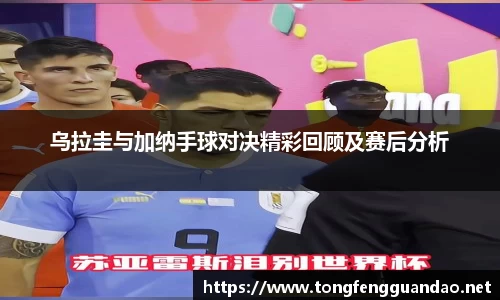 365(vip)英国上市官网